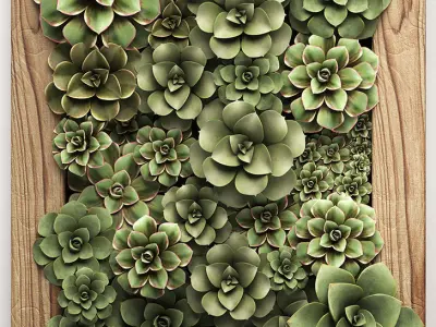 Echeveria Vertical garden 52 3D model
