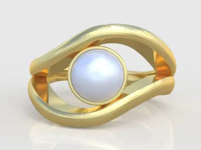 Ring 3d model 0289 3D printable model-9 3D print model
