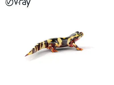Colorful Salamander Model Pack Low-poly 3D model