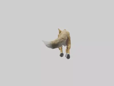 Coyote running model 3D model
