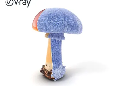 Mature Red-Cap Mushroom 3D Model Pack Low-poly 3D model