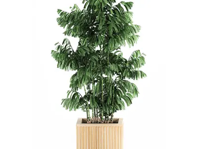 Decorative plants in a bamboo flowerpots 799 3D model