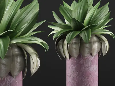 Plants Collection 101 3D model