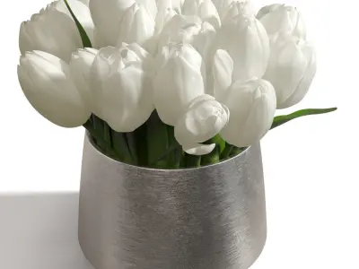 White Sulip In Silver Vase PBR 3D model