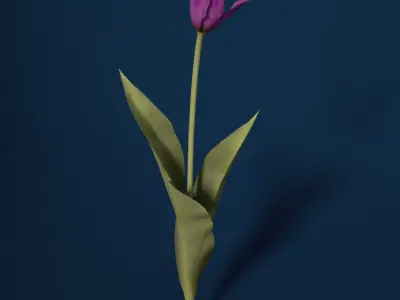 XfrogPlants Tulip 3D model