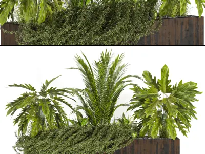 Collaction Indoor plant vol 41 3D model