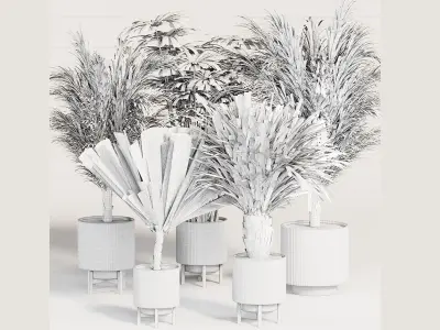 PALM PLANT SET 3D model