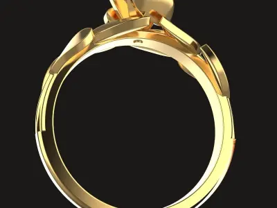  Ring Springtime 3D print model