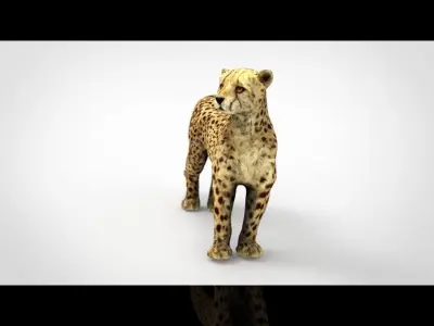 CHEETAH Low-poly 3D model