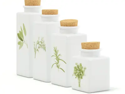 Spice Containers 3D model