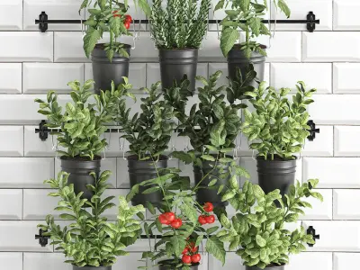 Decorative plants for the kitchen on railing 3802 3D model