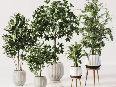  IndoorSetPlant058 3D model