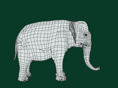 Asian Elephant Adult Low-poly 3D model