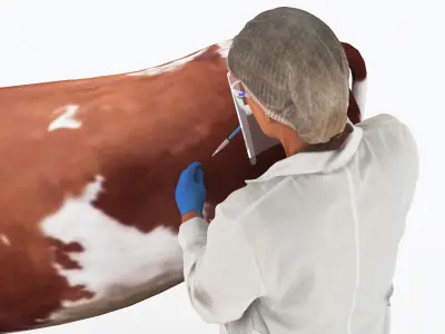 Veterinarian 4K 3D model