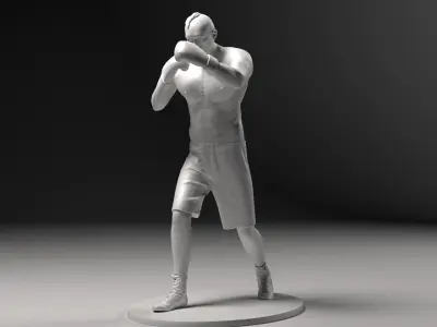 Boxer 01 Stl 3D print model