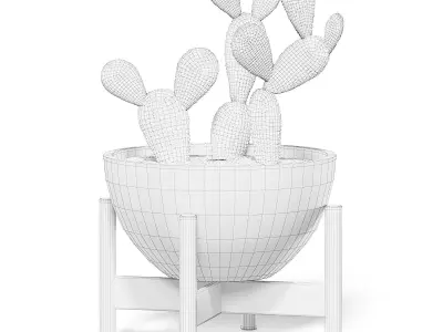 Cactus 3D Model in Brown Pot 3D model