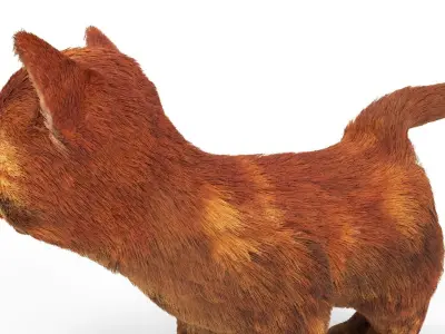Red Cute hair  fur Cat Animated Low-poly 3D model