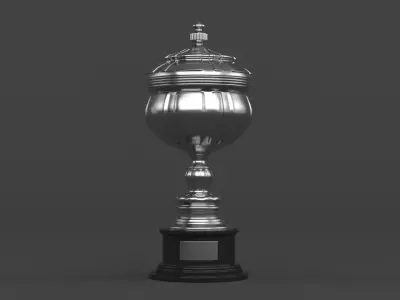 Cups Trophy 3D model 4