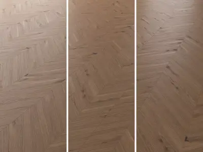 Parquet Oak Vergne Wild Wood set 1 3D model