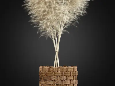 Plants collection 337 3D model