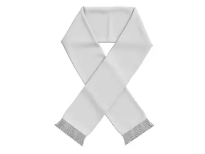 Football Fan Scarf 08 3D model