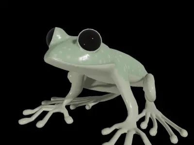 Froggy colorful frog Low-poly 3D model