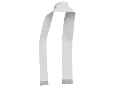 Football Fan Scarf 06 3D model