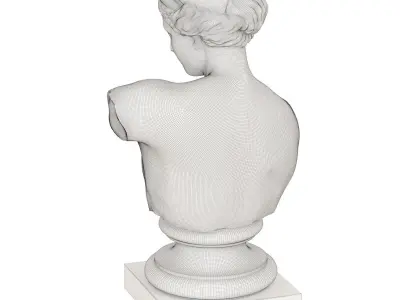 Bust of Venus of Capoa 3D model