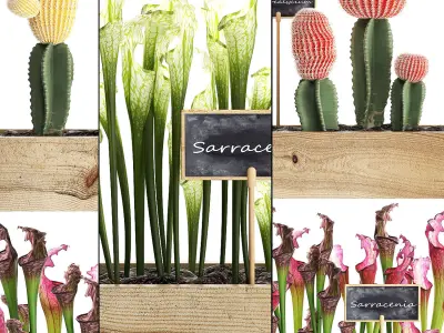 Cactus set wall decor vertical garden 44 3D model