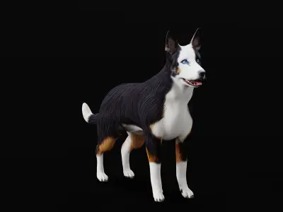 Panda German Shepherd Dog Low-poly 3D model