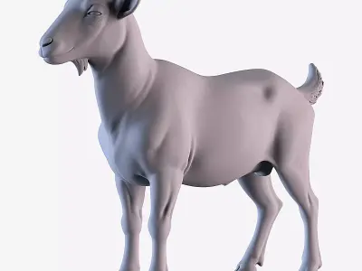 Nanny goat 3D print model