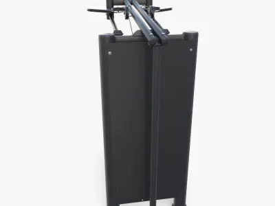 Back swing machine 3D model