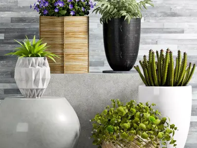 Decorative plant set-67 3D model