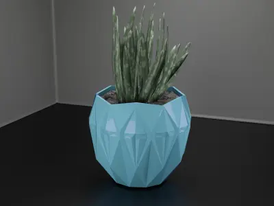 succulent pot planter  3D print model