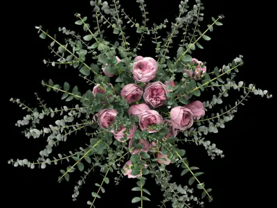 Pink roses and eucalyptus 3D model