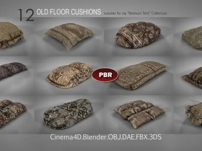 Old Floor Cushions 3D model