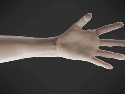 Human Body Man realistic 3D model