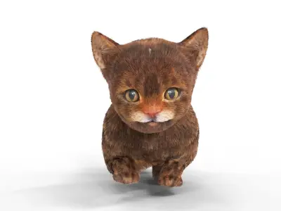Fur Cure Kitten Red 02 Low-poly 3D model