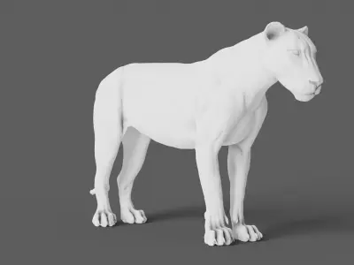 Lion 3D Model animal 3D model