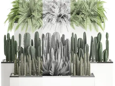 Decorative plants for the interior in a white flowerpot 581 3D model