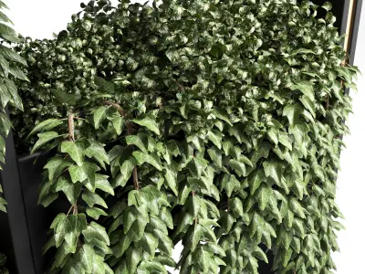 Collection Indoor plant-plant stand plastics vase 06 Low-poly 3D model