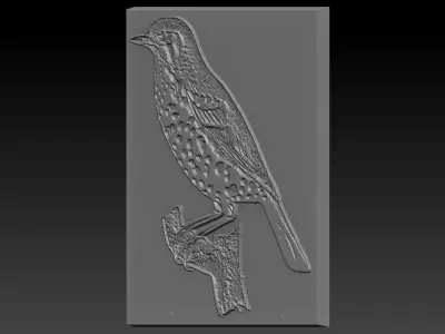 Birdd plastic plate with holes 3D print model purchase