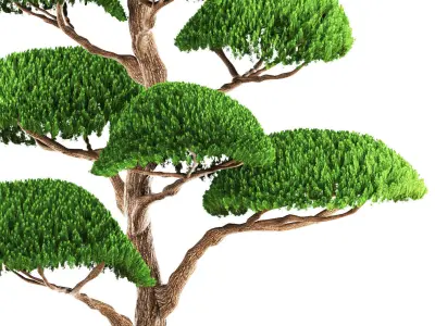 bonsai tree 3D model