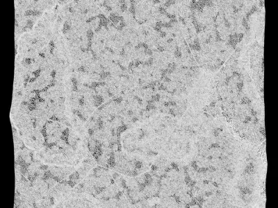 479-RockPanel piece of rock on wall 3D model