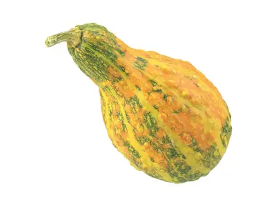 Photorealistic Decorative Gourd 3D Scan 3D model