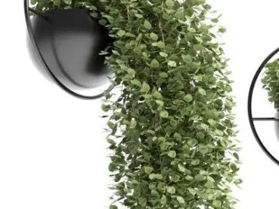 Indoor plants hanging pot 01 Low-poly 3D model