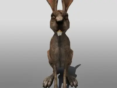 Jack Rabbit 3D model