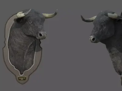 Spanish bull head trophy Low-poly 3D model