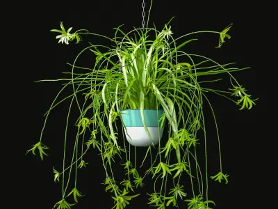 Hanging Plants Set 3D model