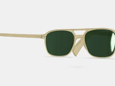 Brimmer Sunglasses in Honeydew 3D model